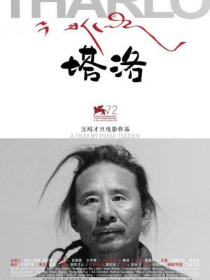 训练日记